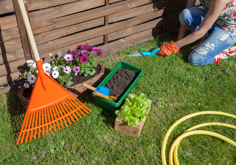 Are landlords responsible for garden maintenance?