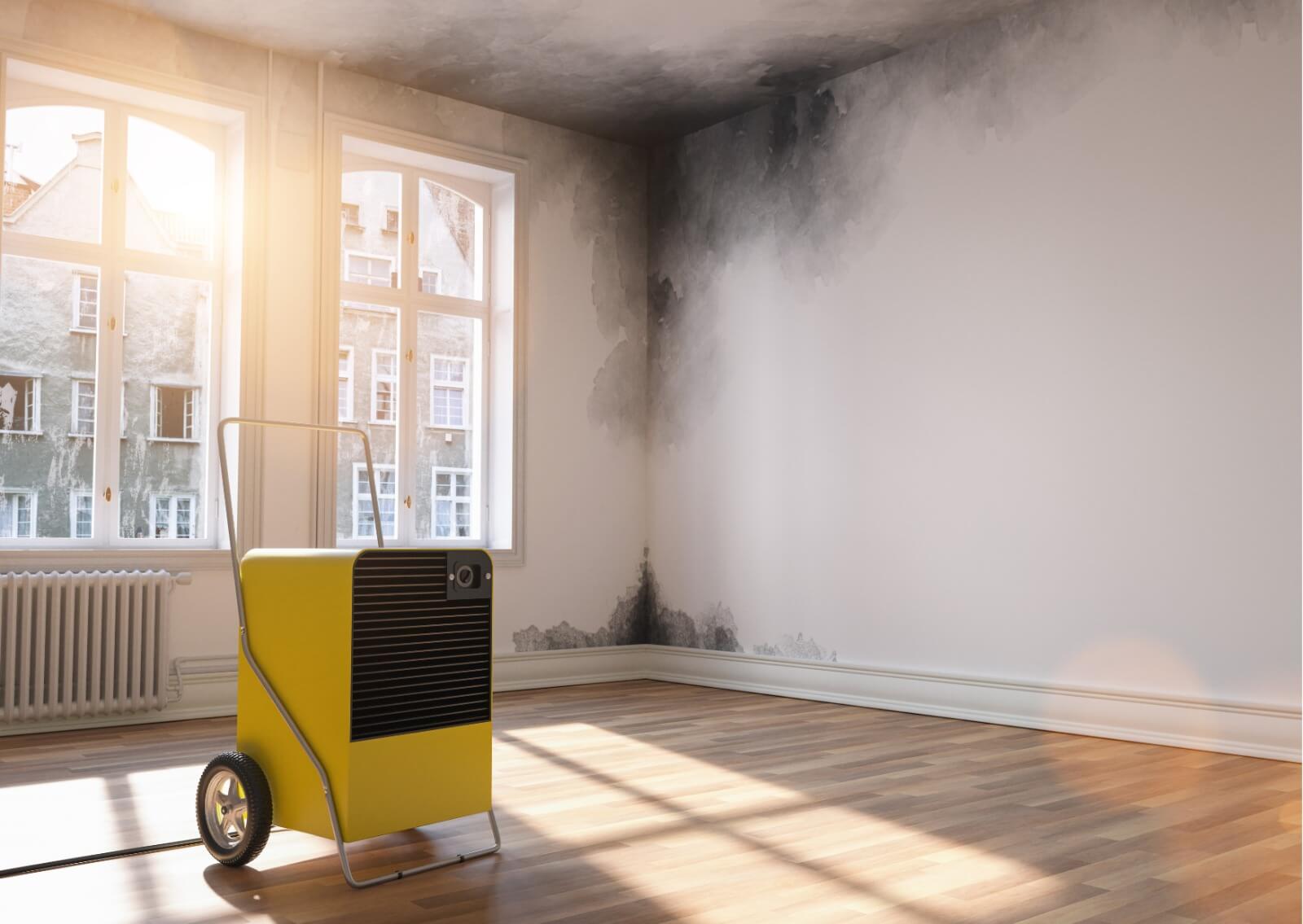 How To Deal With Water Damage In House CIA Landlords