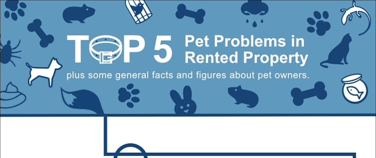 Top 5 Pet Problems in Rented Property Infographic