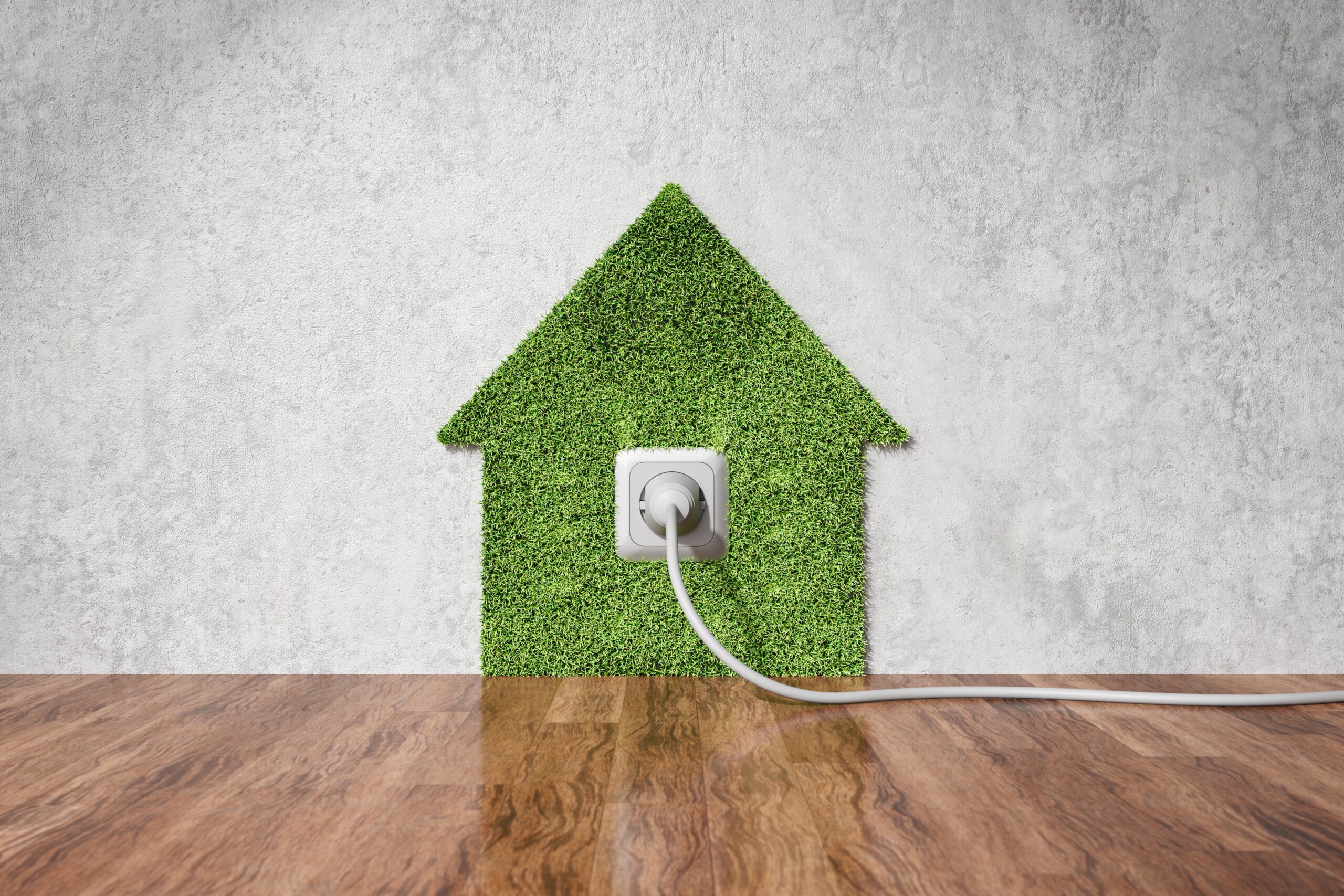 A plug socket with a green house outline.