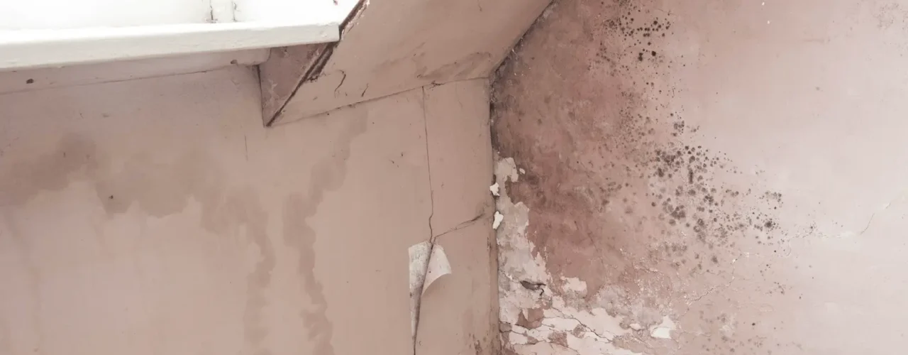 Water damaged walls inside a house with mould appearing