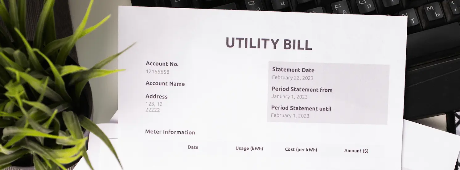 A template utility bill next to a green indoor plant