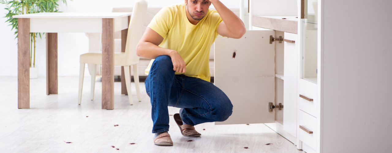 A man looking at rat droppings in his kitchen