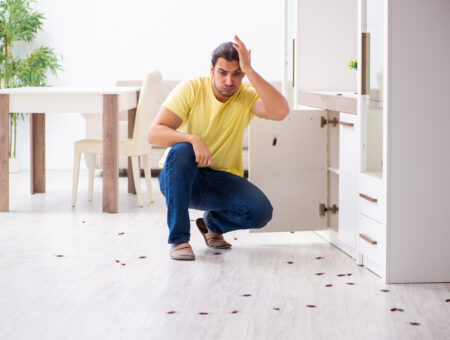 A man looking at rat droppings in his kitchen