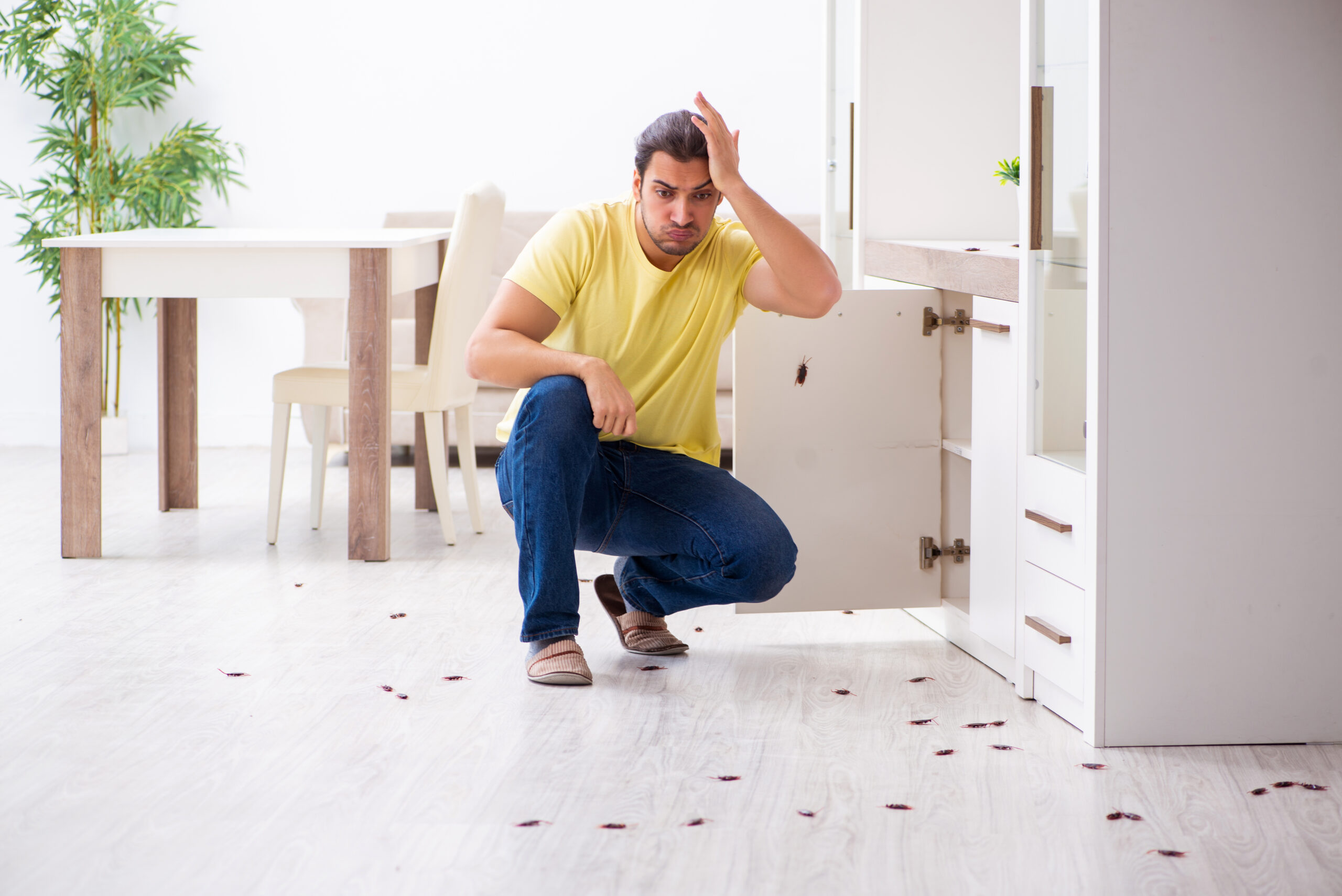 A man looking at rat droppings in his kitchen