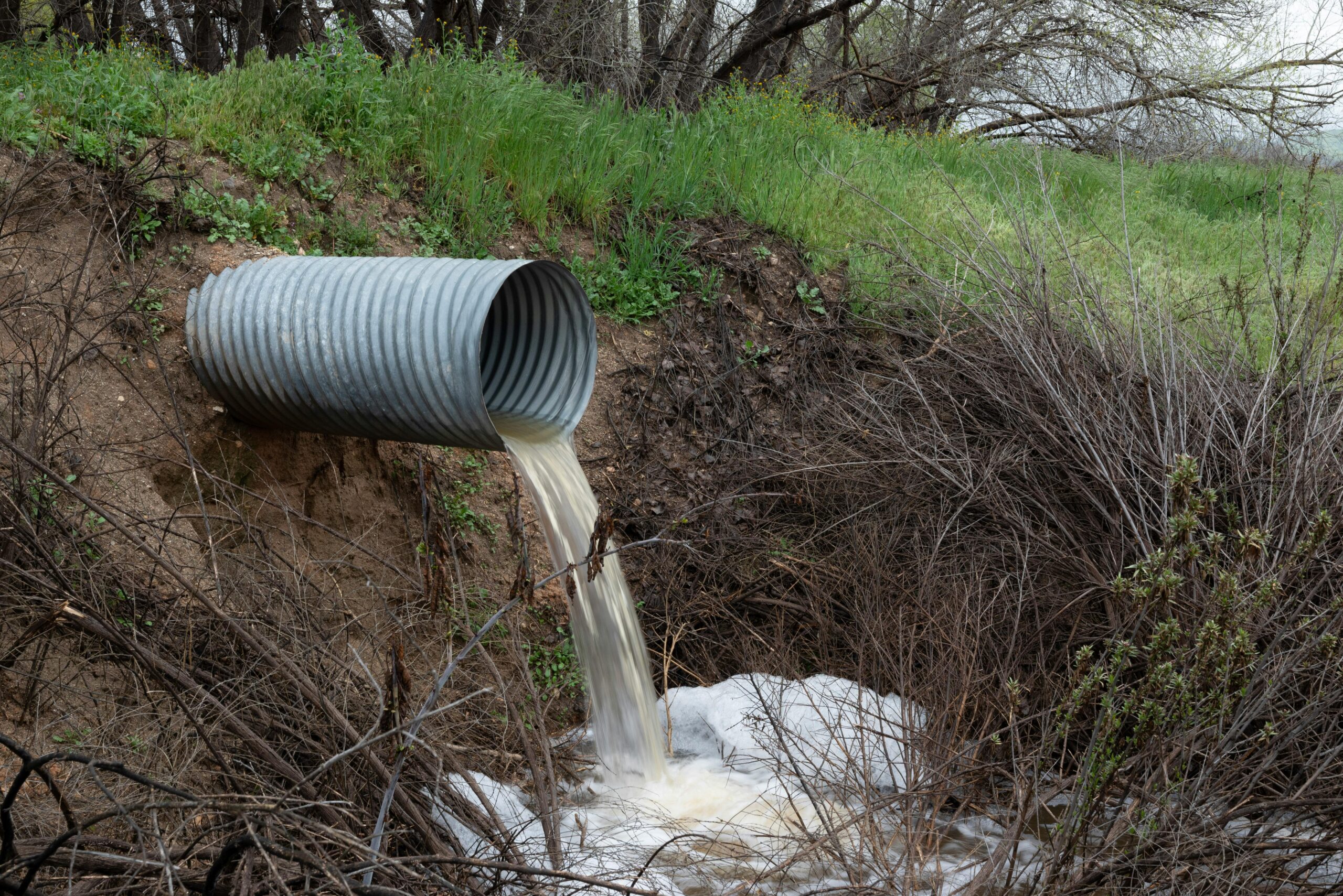 Wastewater coming out of a drain