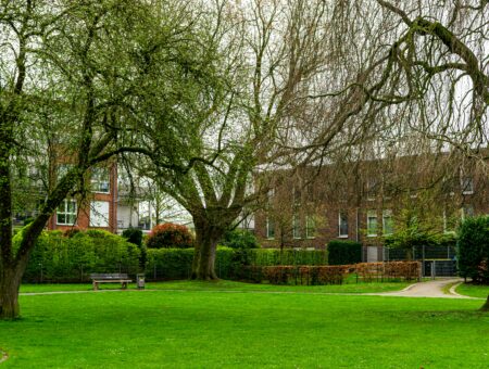 Communal garden
