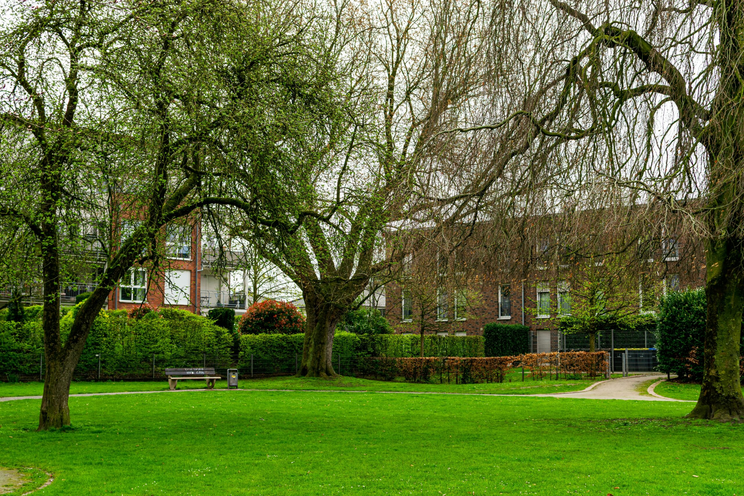 Communal garden