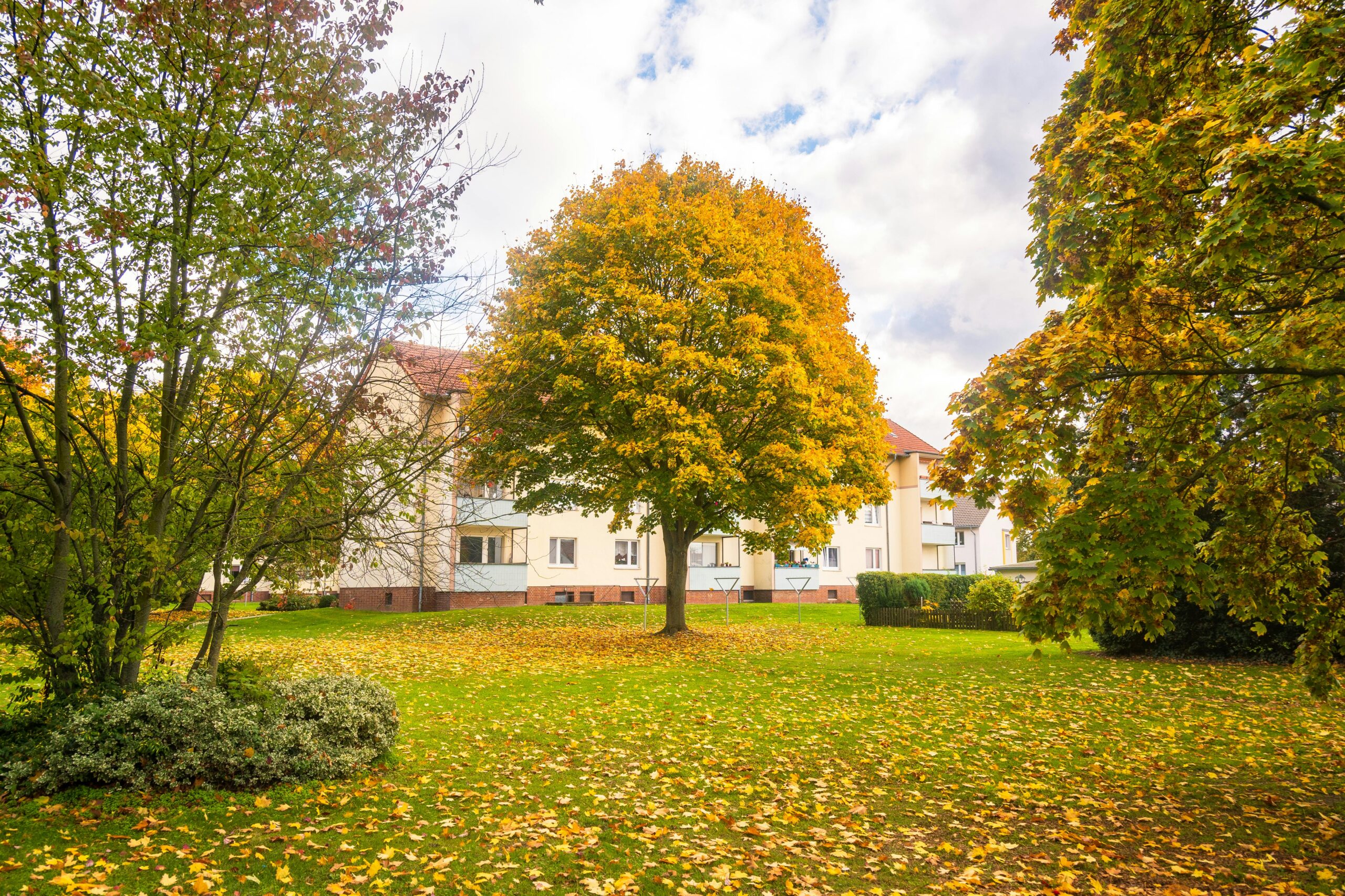 Communal garden