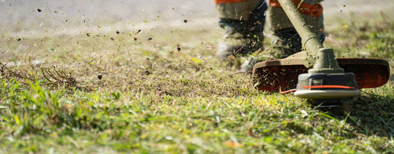 spring property maintenance