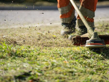 spring property maintenance
